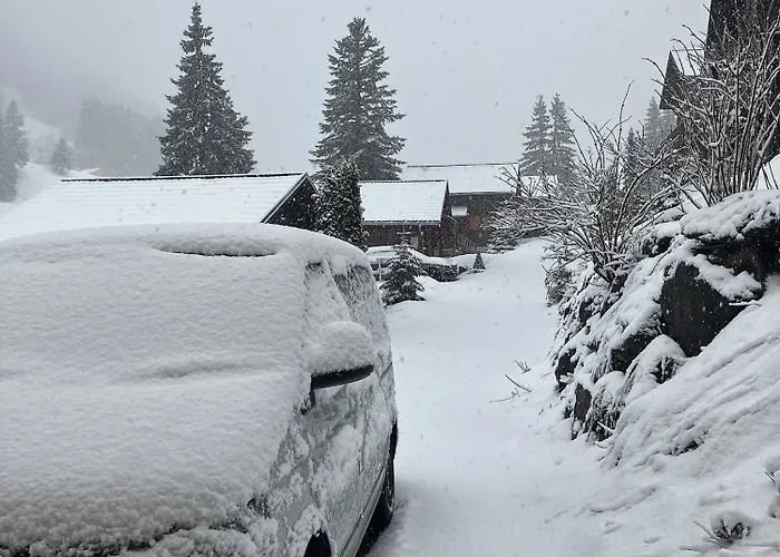 Carre Chalet